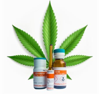 Cannabis testing image